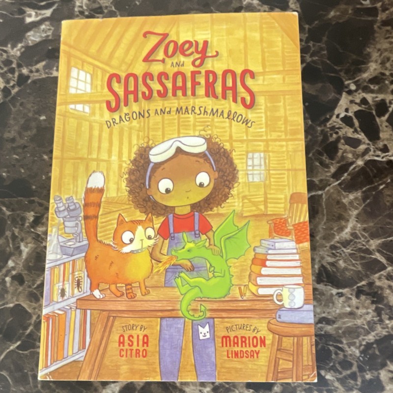 Zoey and Sassafras Dragons and Marshmallows Asia Citro Marion Lindsay Ages 4-8