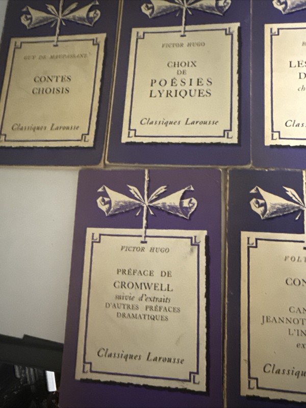 VINTAGE French Language Novels Lot of 14 Classics Literature Illustrated Photos gallery