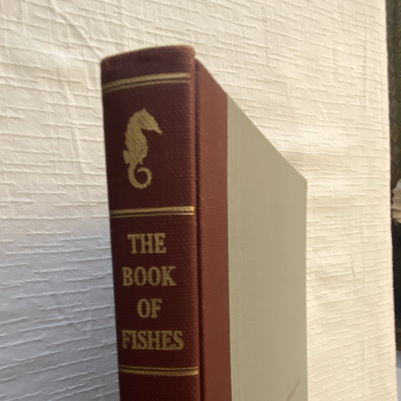 National Geographic Society Book of Fishes Hardcover 1958 Illustrated gallery