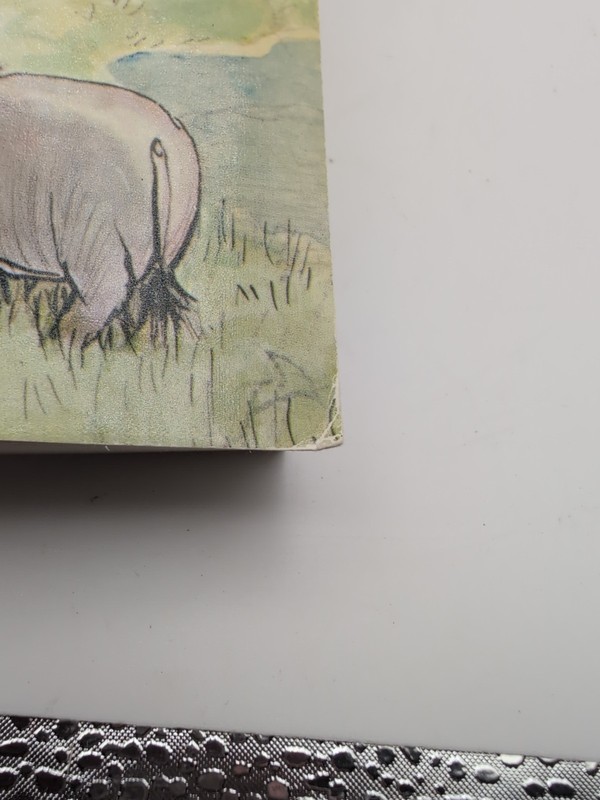 The World Of Pooh by A. A. Milne 1957 Paperback Full Color Illustrations Shepard gallery