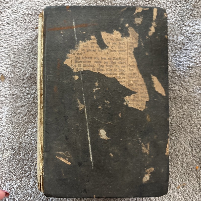 Vintage 1892 Every Day Cook Book & Encyclopedia of Practical Recipes, Neil gallery