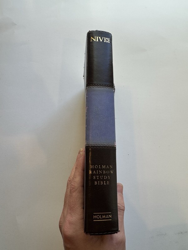Holman Rainbow Study Bible NIV Edition LeatherTouch Brown Purple Fast Shipping