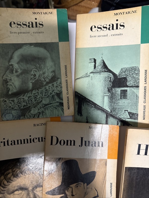 VINTAGE French Language Novels Lot of 14 Classics Literature Illustrated Photos gallery