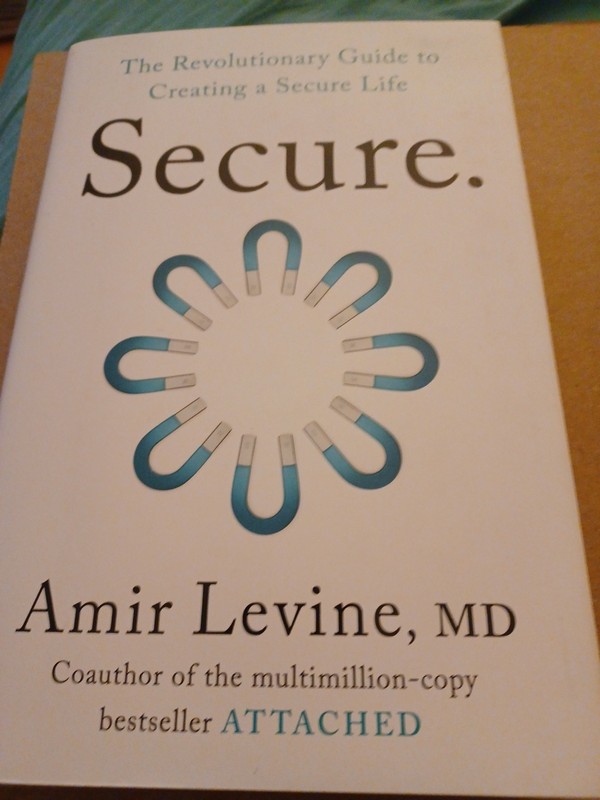Secure: The Revolutionary Guide to Creating a Secure Life by Amir Levine