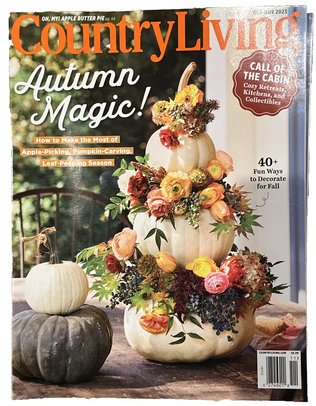Country Living Magazine October November 2023 Autumn Magic Call Of The Cabin