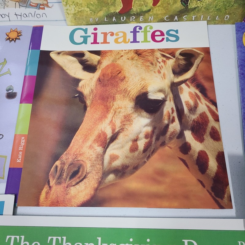 Lot of 12 - Picture Books (10 Accelerated Reader) - Grades 1, 2, 3 - HMH - ELA gallery