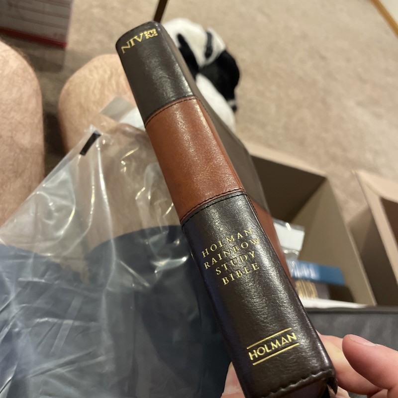 New NIV Rainbow Study Bible, Saddle Brown LeatherTouch Holman RARE