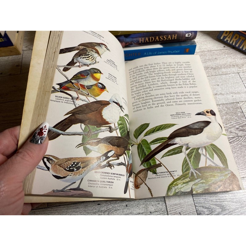 Song Birds of the World Oliver L. Austin Jr. 1967 Illustrated Vintage Paperback gallery