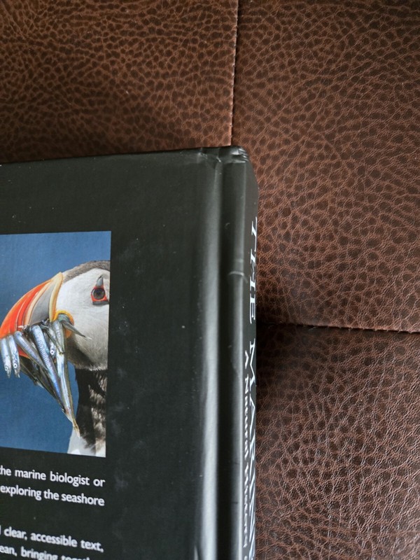 THE MARINE WORLD: A NATURAL HISTORY OF OCEAN LIFE By Frances Dipper & Mark gallery