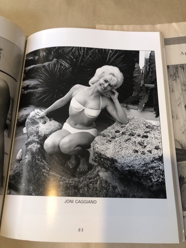 Bunny Yeager Bikini Girls of the 1960s PB and newspaper article about BY Pin up gallery