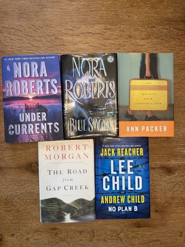 Lot of 5 Hardcover Novels Mixed Authors Random Mix Lot Good Condition