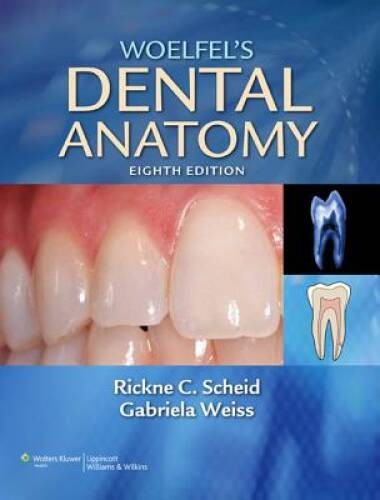 Woelfel’s Dental Anatomy: Its Relevance to Dentistry – Paperback – GOOD