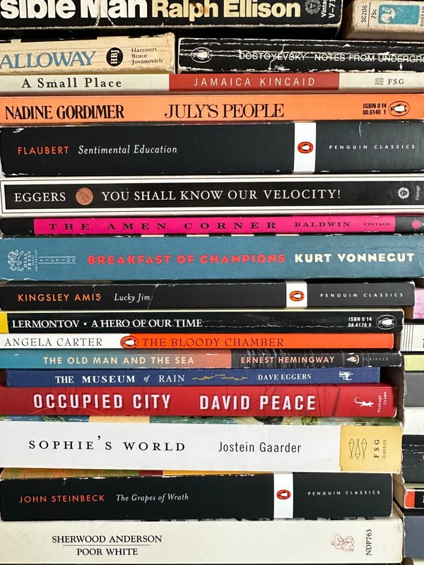 BUILD YOUR OWN LOT Cult Novels Modern Classics Contempo Lit Bundle & Save $2-$6 gallery