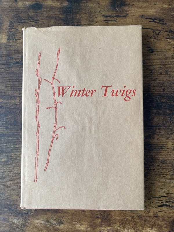 Winter Twigs by Helen M. Gilkey and Patricia L. Packard 1962 Hardcover W Jacket