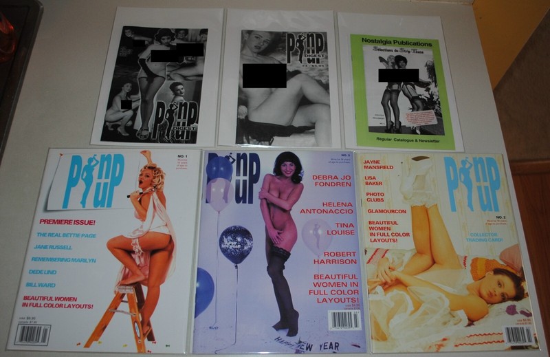 Pin-up Magazine #1,#2 and #3. Pin-up Digest #3,#4 by Draculina Publishing.