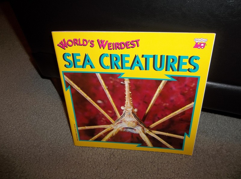 World’S Weirdest Sea Creatures-Pbk (8×8) – Roberts, M. L. – Good – See condi…