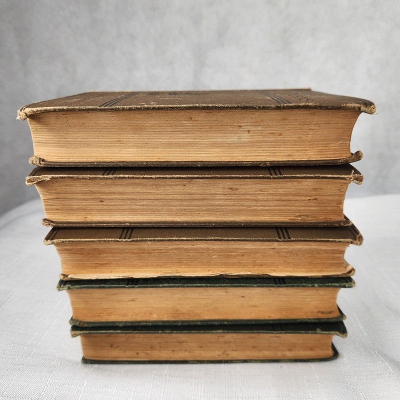 Louisa May Alcott 5 Brown Books Little Women Men Rose in Bloom 8 Cousins Jo boys gallery