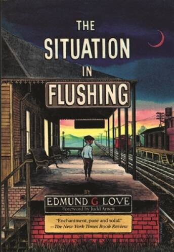 The Situation in Flushing (Great Lakes Books Series) – Paperback – GOOD