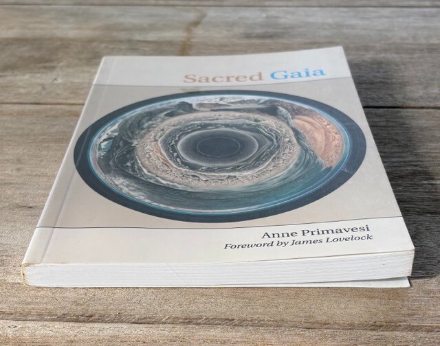 Sacred Gaia: Holistic Theology and Earth System Science by Anne Primavesi gallery