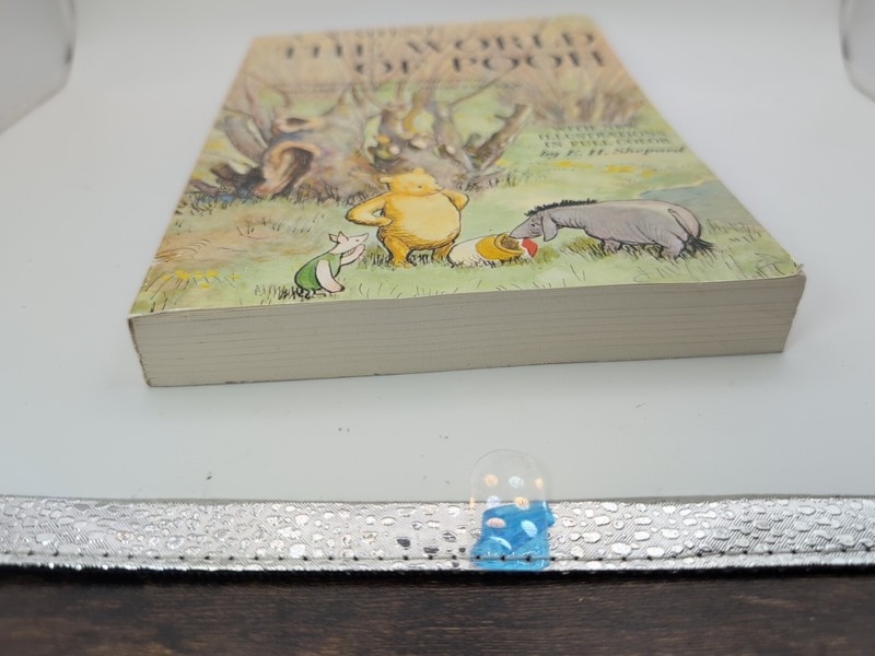 The World Of Pooh by A. A. Milne 1957 Paperback Full Color Illustrations Shepard gallery