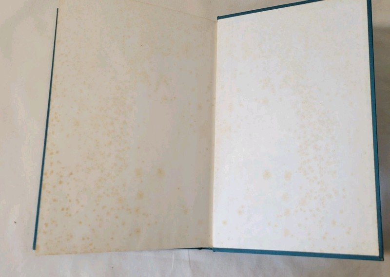 Literary Monographs Vol. 4 gallery