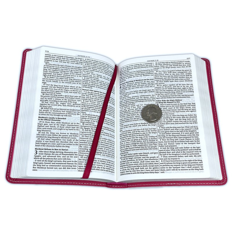 Compact Bible for Girls King James Version KJV pink leathertouch gallery