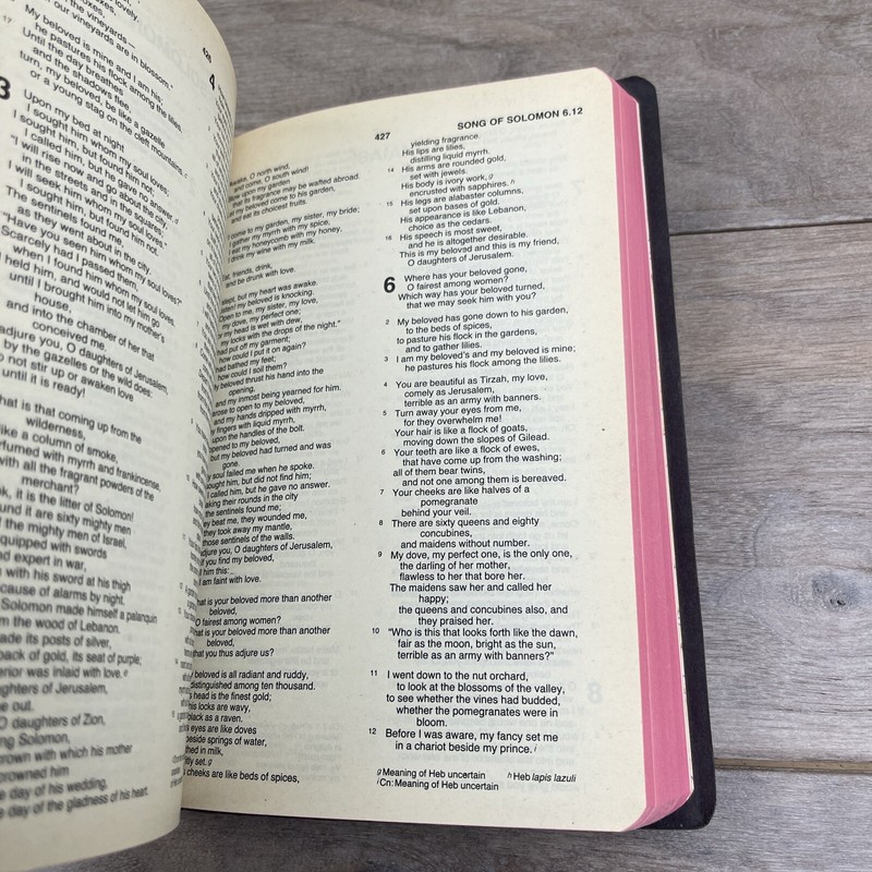 Holy Bible New Revised Standard Version Black Letter 1989 Thomas Nelson 1701N gallery