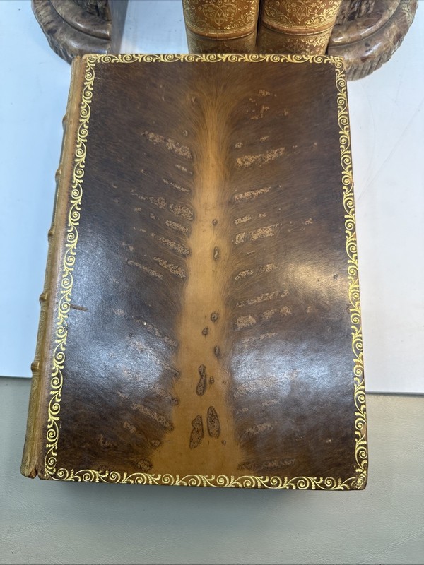 London Charles Knight 1851 3 Vols in 3 Books Fine Leather Gilt Illus (6-17) gallery