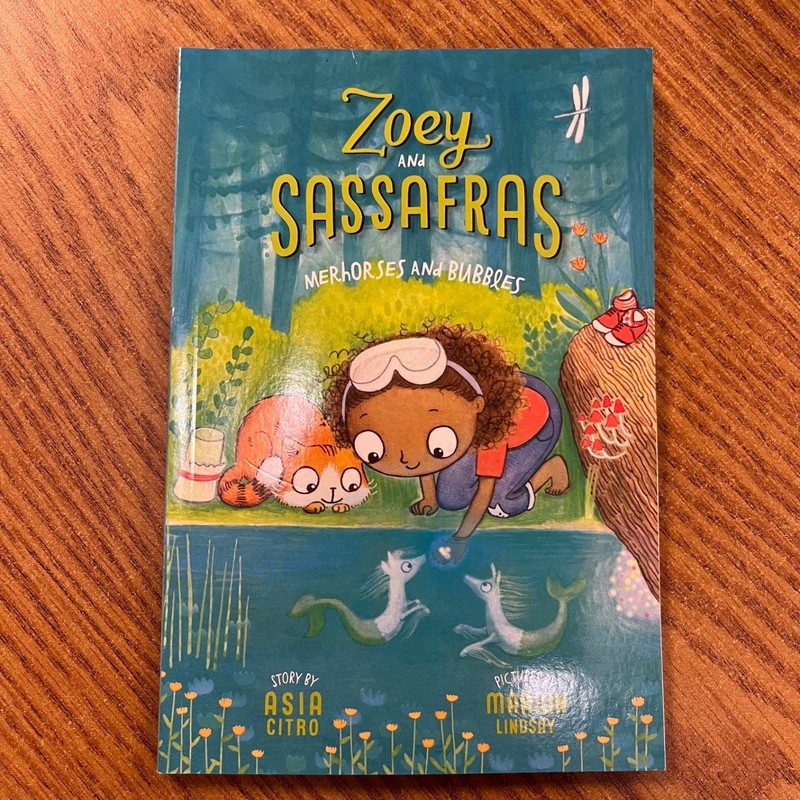 LOT OF 6 ZOEY AND SASSAFRAS CHAPTER BOOKS #1-6 BY ASIA CITRO magic science gallery