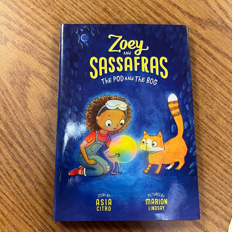 LOT OF 6 ZOEY AND SASSAFRAS CHAPTER BOOKS #1-6 BY ASIA CITRO magic science gallery