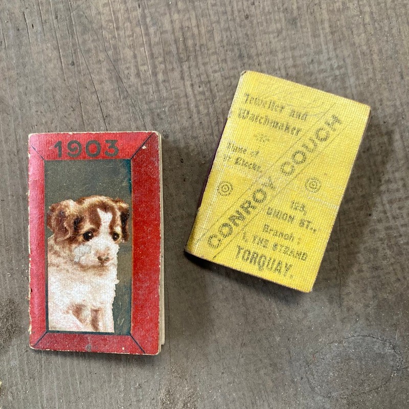 2 Antique Pocket Calender Books Watchmaker Torquay Dog Portrait 1903 gallery