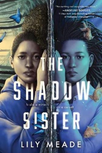 Lily Meade The Shadow Sister (Paperback)