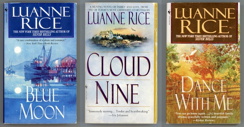 Domestic Romance Lot of 3 Paperback by Luanne Rice