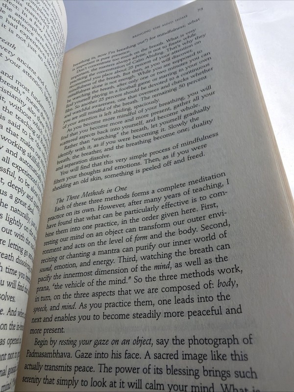 The Tibetan Book of Living and Dying Sogyal Rinpoche Revised Edition 2002 gallery