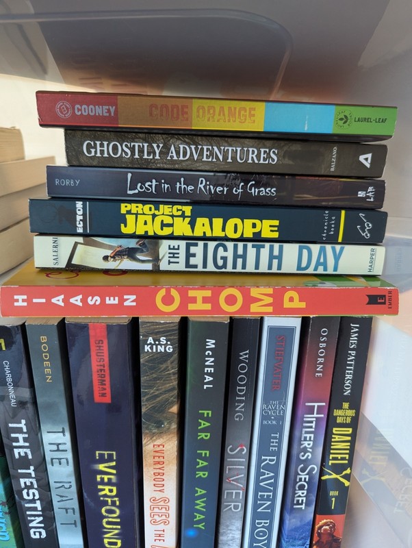 Lot of 27 Chapter Books for BOYS Young Adults Children RANDOM gallery