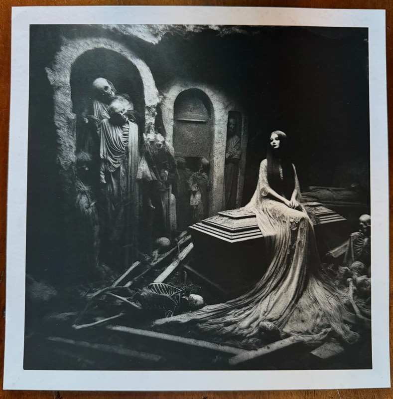 ‘VAMPIRE/CATACOMBS – 4’ (2024) – SIZE 30cm x 30cm, 230gsm Matt Print – Original