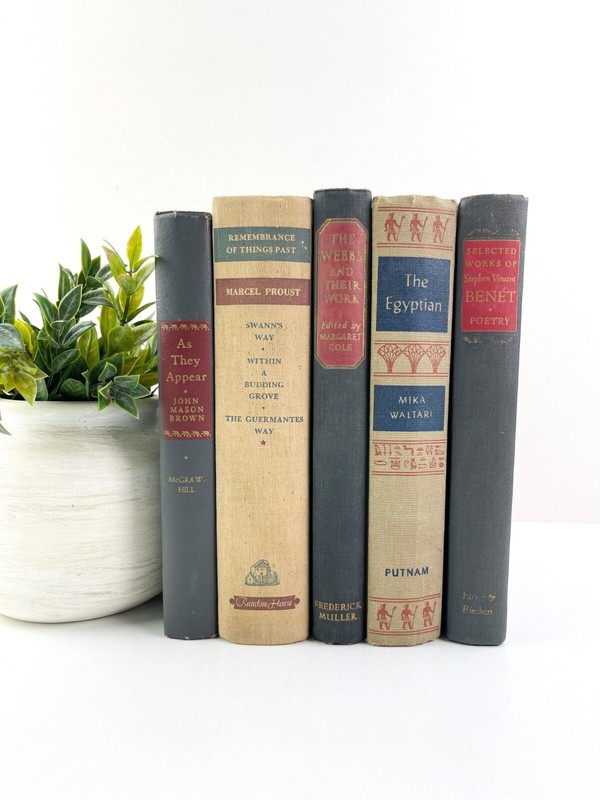 Lot of 5 Vintage Old Hardcover 50 to 100 years old Books – random colors