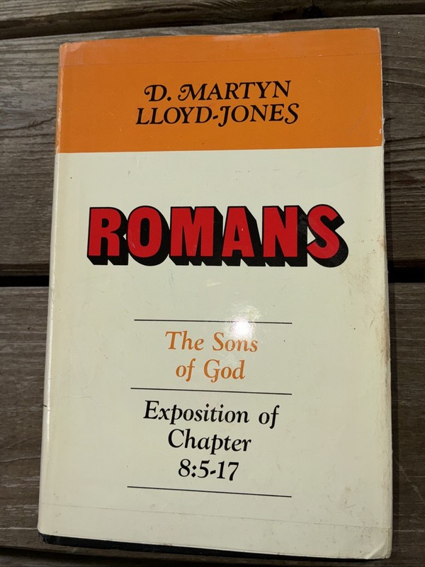 Romans: The Sons of God, Exposition of Chapter 8: 5-17