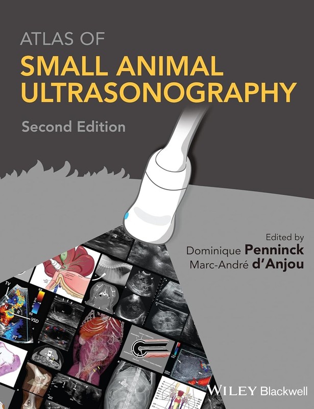 Small Animal Ultrasonography Paperback C455 E942