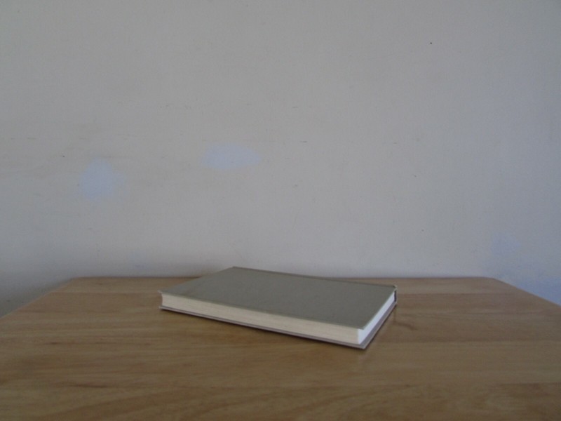 MARY HIGGINS CLARK While My Pretty One Sleeps Hardcover 1989 220 Pages gallery