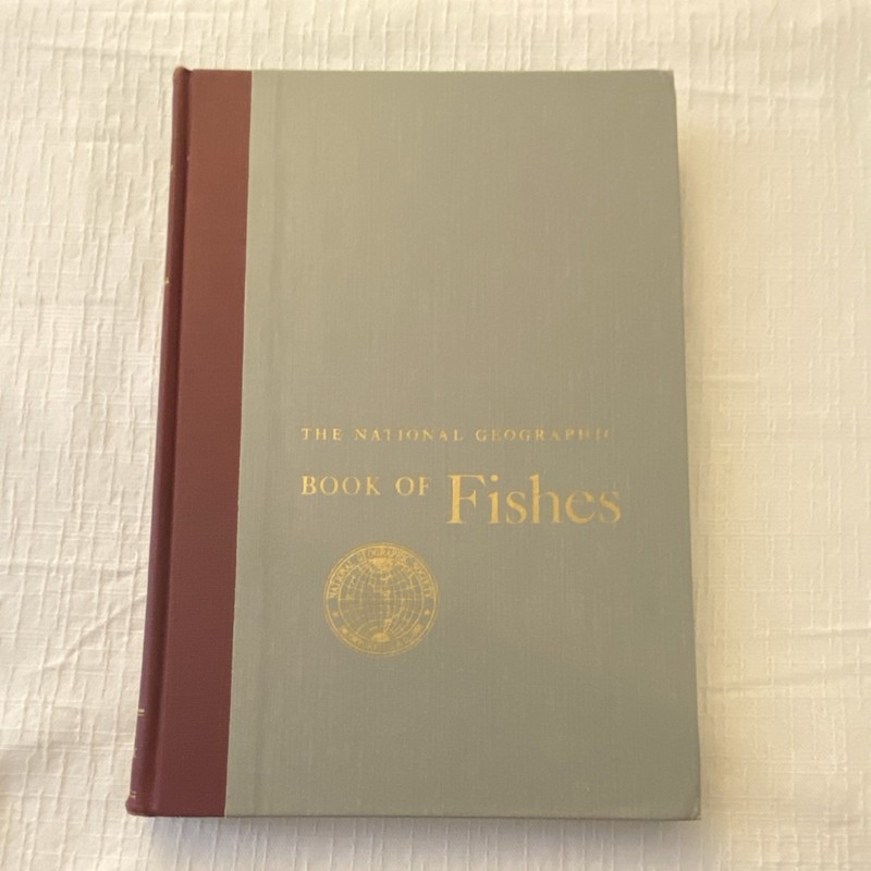 National Geographic Society Book of Fishes Hardcover 1958 Illustrated gallery