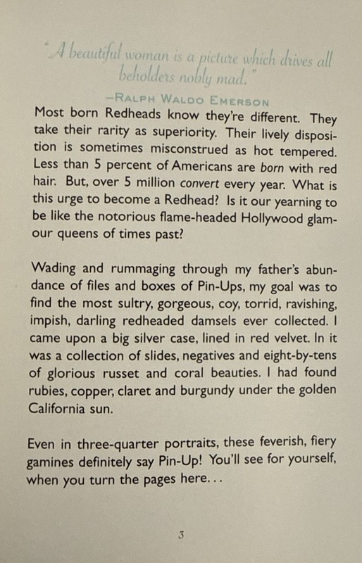 Redheads! by Susan Bernard 1995, Hardcover + DJ Pin Ups. 1st Ed. NEW! Great Gift gallery