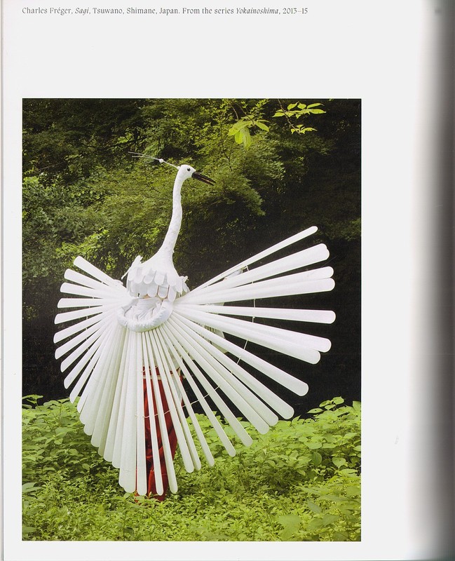 AVIARY: The Bird in Contemporary Photography by Ewing/Exquisite images/NEW/HB gallery