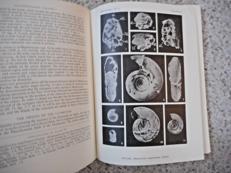 Palaeontology magazine Volume 3 in 4 Parts 1960-1961 Illustrated Plates gallery