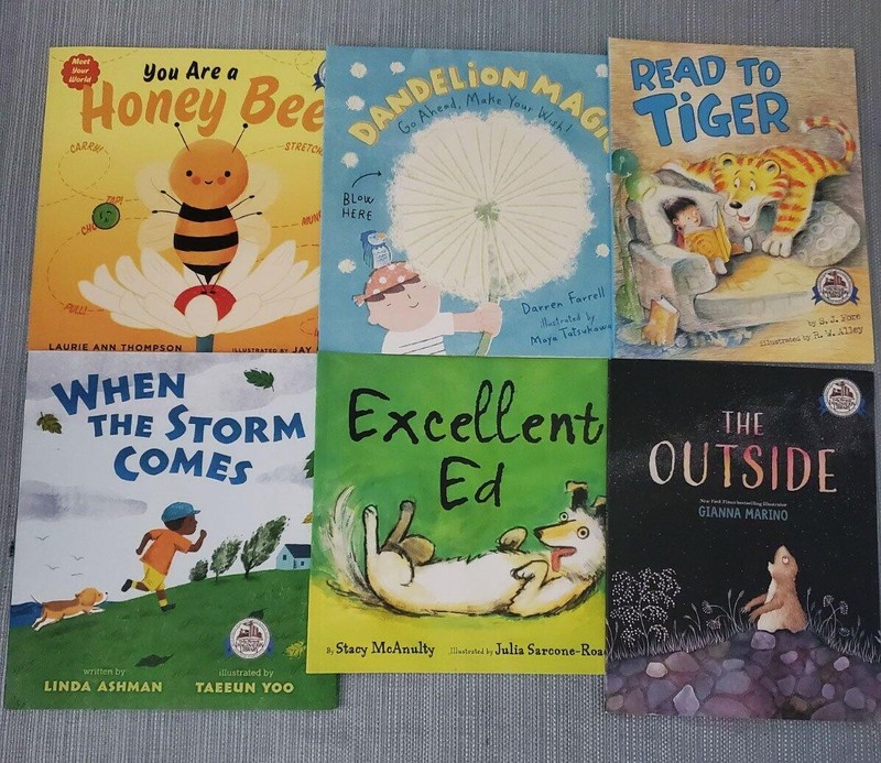 Lot 29 IMAGINATION LIBRARY Preschool Kindergarten Picture Books Dolly Parton gallery