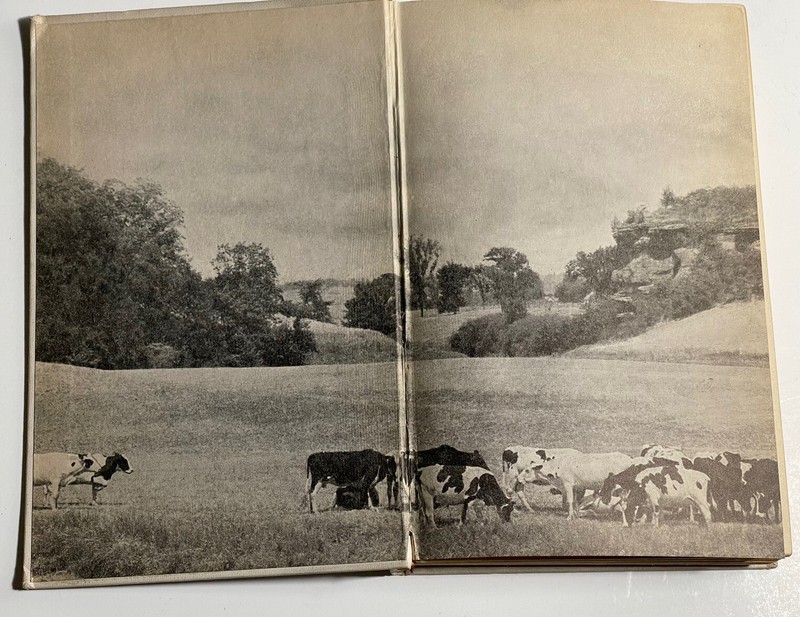 1941 THE DAIRY COOK BOOK 256 PAGES OF RECIPES BEROLZHEIMER CULINARY ARTS gallery
