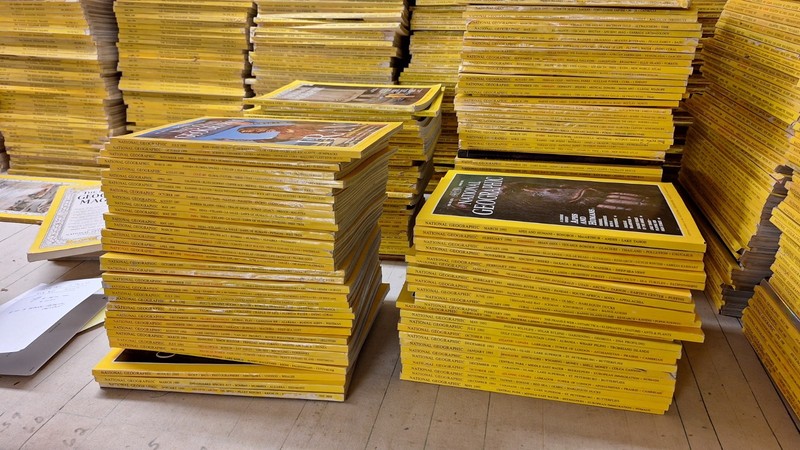 Lot of 50 National Geographic Magazine Random Pick 1980s – 2020s No duplicate
