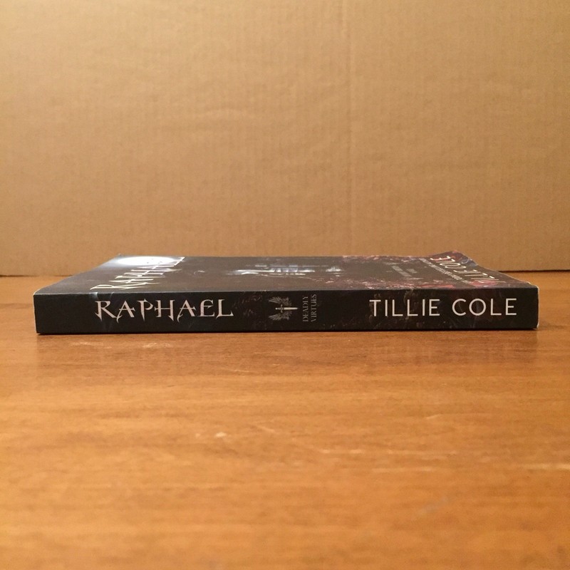 Raphael: A Deadly Virtues Novel by Tillie Cole 2019 Amazon TPB Good+ RARE OOP gallery