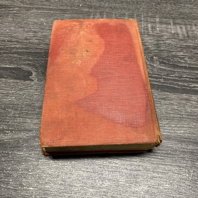 "THE SON OF TARZAN" by E.R. Burroughs. Illustrated by J. Allen St. John???? gallery