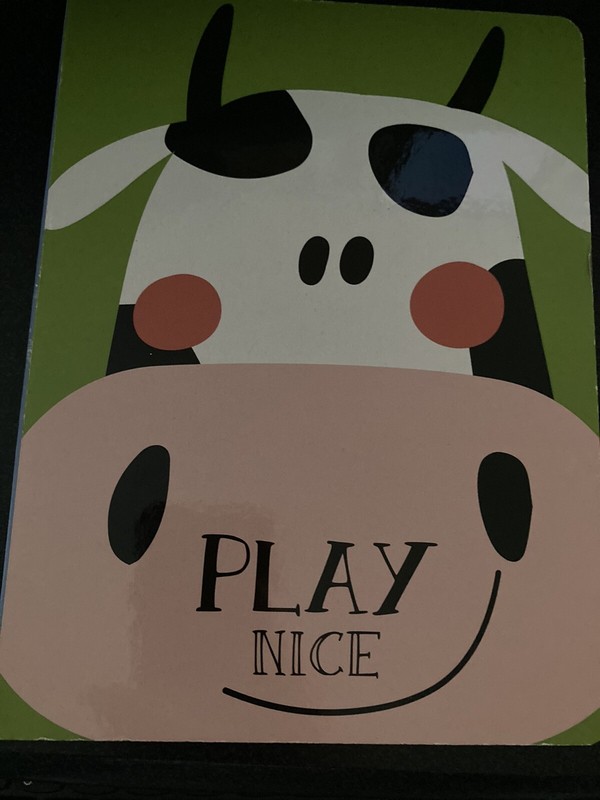 ‘Play Nice’ Board Book – Image Books – Use Your Imagination – 6in. x 8in.
